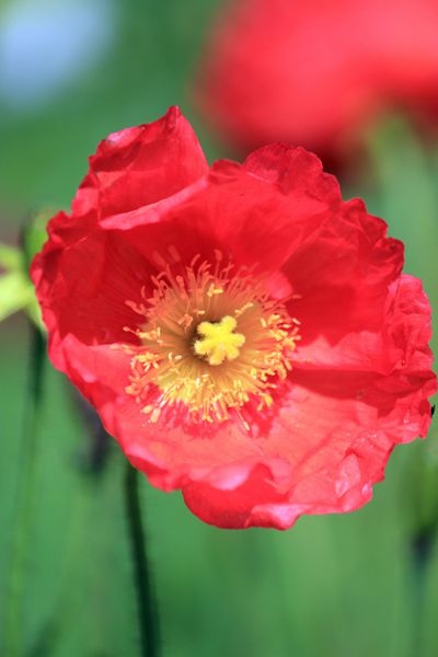 IMG_8058_副本_副本.jpg IMG_8058_副本_副本.jpg