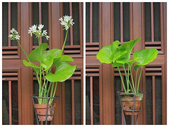 IMG_6765_副本.jpg IMG_6765_副本.jpg