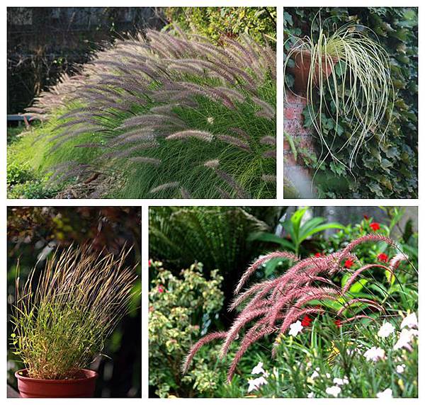 IMG_1351_副本.jpg IMG_1351_副本.jpg