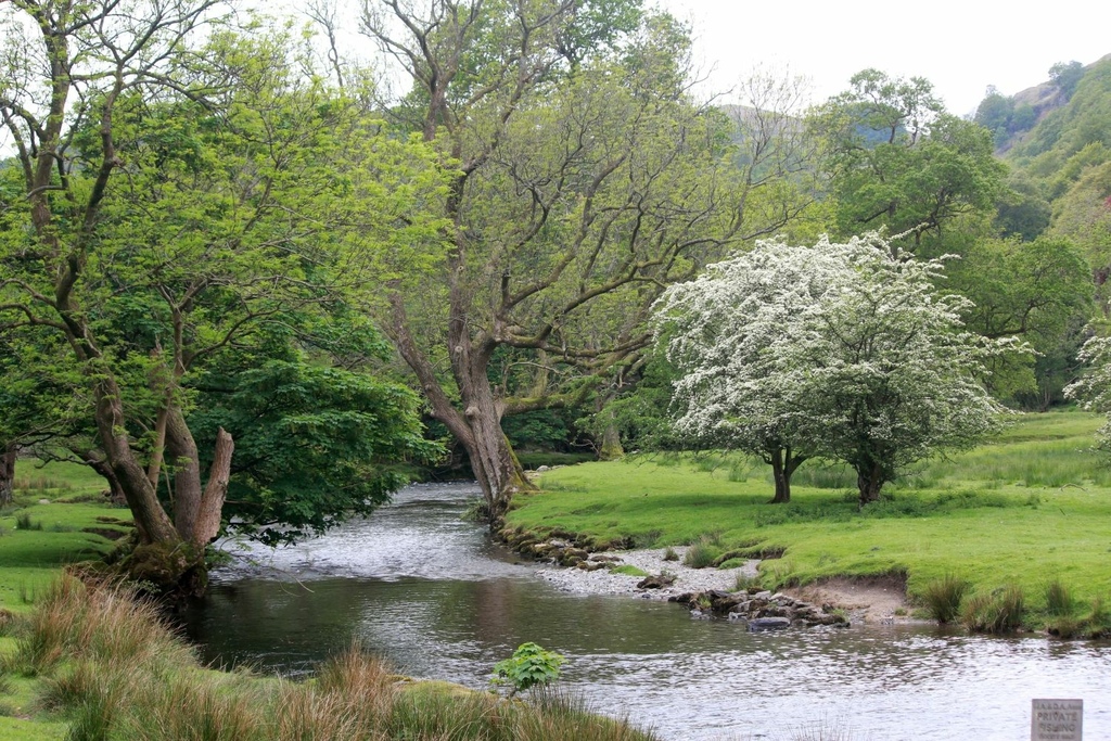 2017英旅札記~~湖區