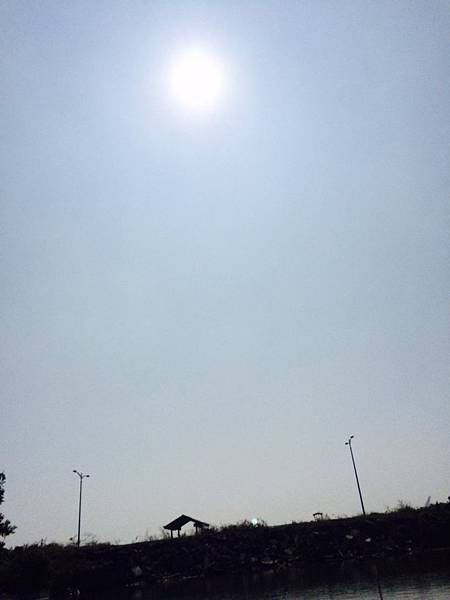 2016-02-01 鹽埔仔破壞狂阿姐_475