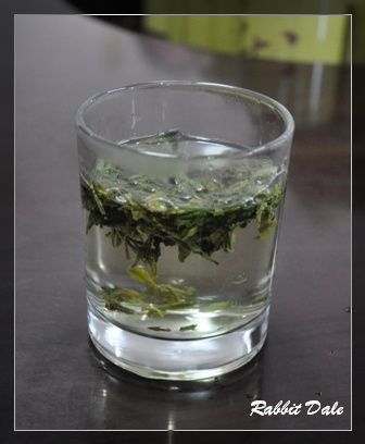 nEO_IMG_龍井茶園_0185.jpg nEO_IMG_龍井茶園_0185.jpg