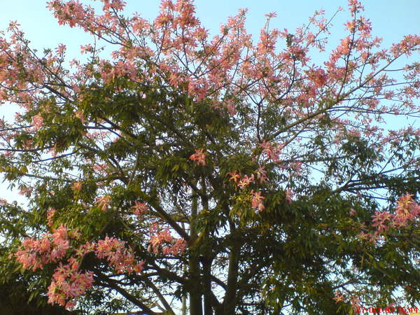 DSC00134.JPG