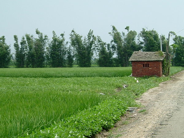 正田小路一景.JPG