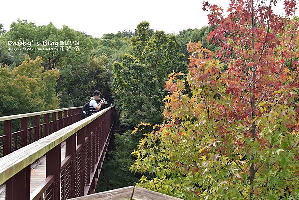 万博紀念公園