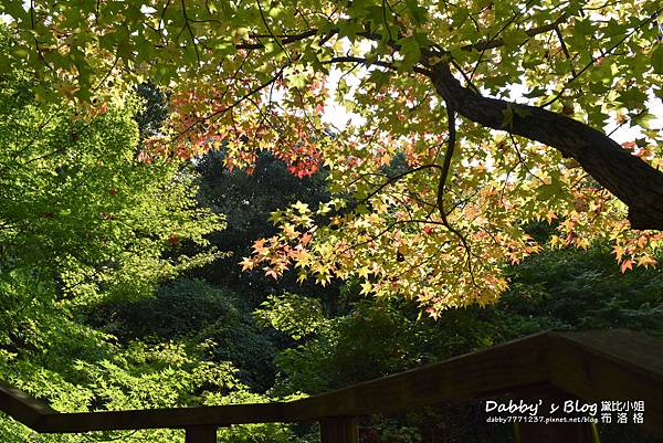 万博紀念公園