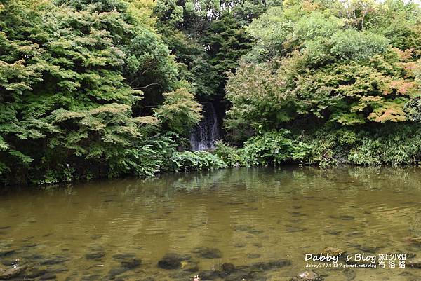 万博紀念公園