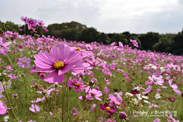 万博紀念公園