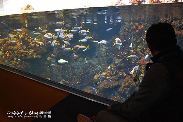 海遊館