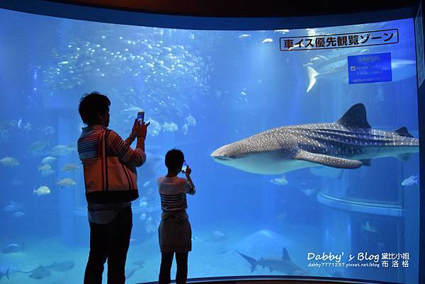 海遊館