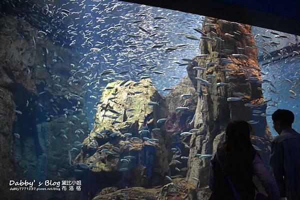 海遊館