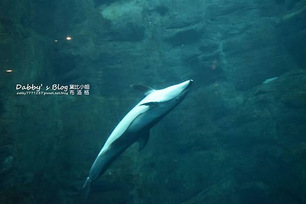 海遊館