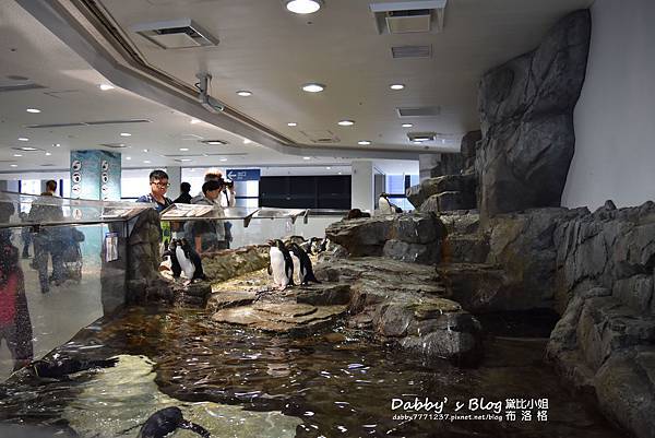 海遊館