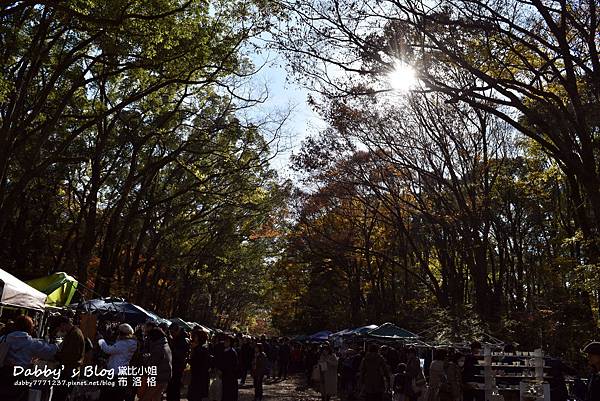 下鴨神社