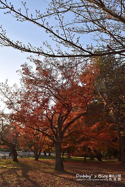 京都御苑