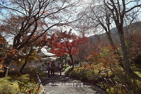 嵐山天龍寺