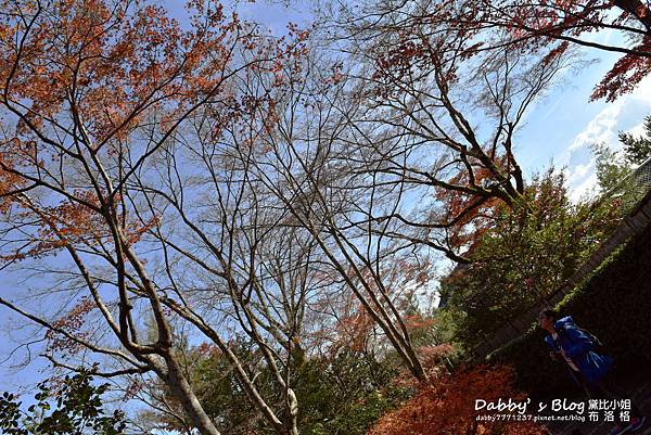 嵐山天龍寺