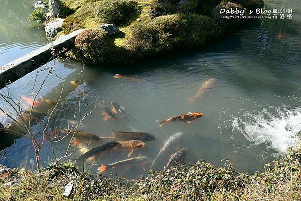 嵐山天龍寺