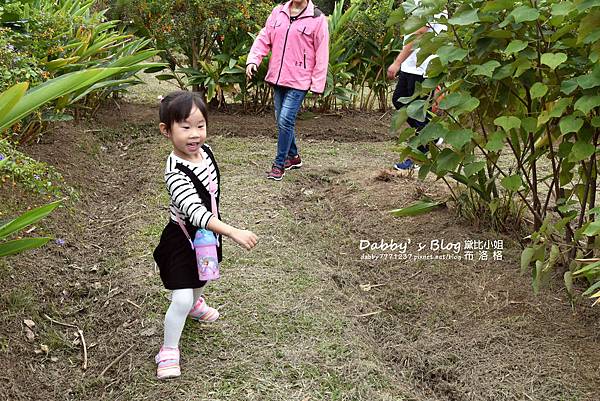 桃園活力健康農場