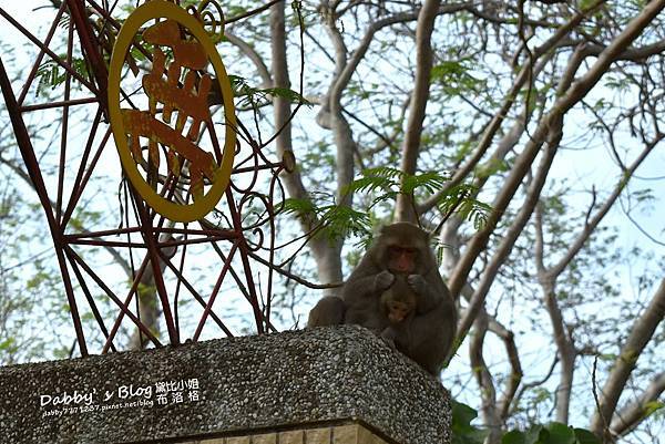 壽山動物園