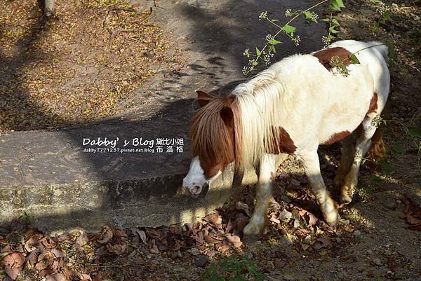 壽山動物園