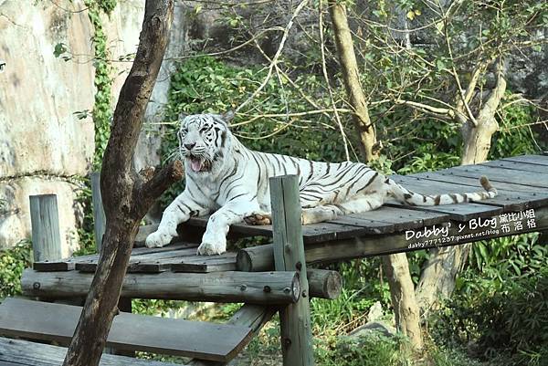 壽山動物園