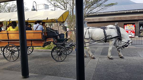 馬車逛大街也是一種選擇