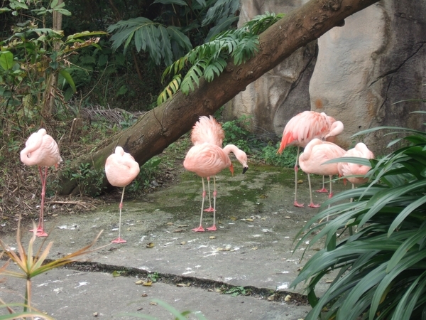 動物園門面