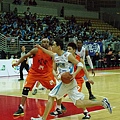 IMGP6816.jpg