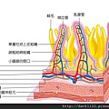 翰林-生物即時通