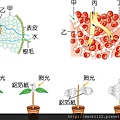 國中大滿貫複習講義-生物(全)第3單元.jpg