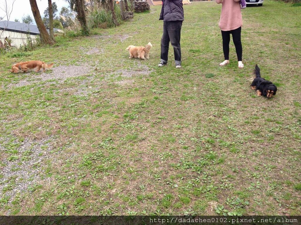 20140222 鳥嘴山露營 003.jpg