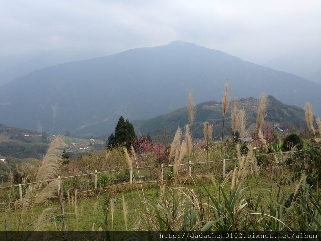 20140222 鳥嘴山露營 001.jpg