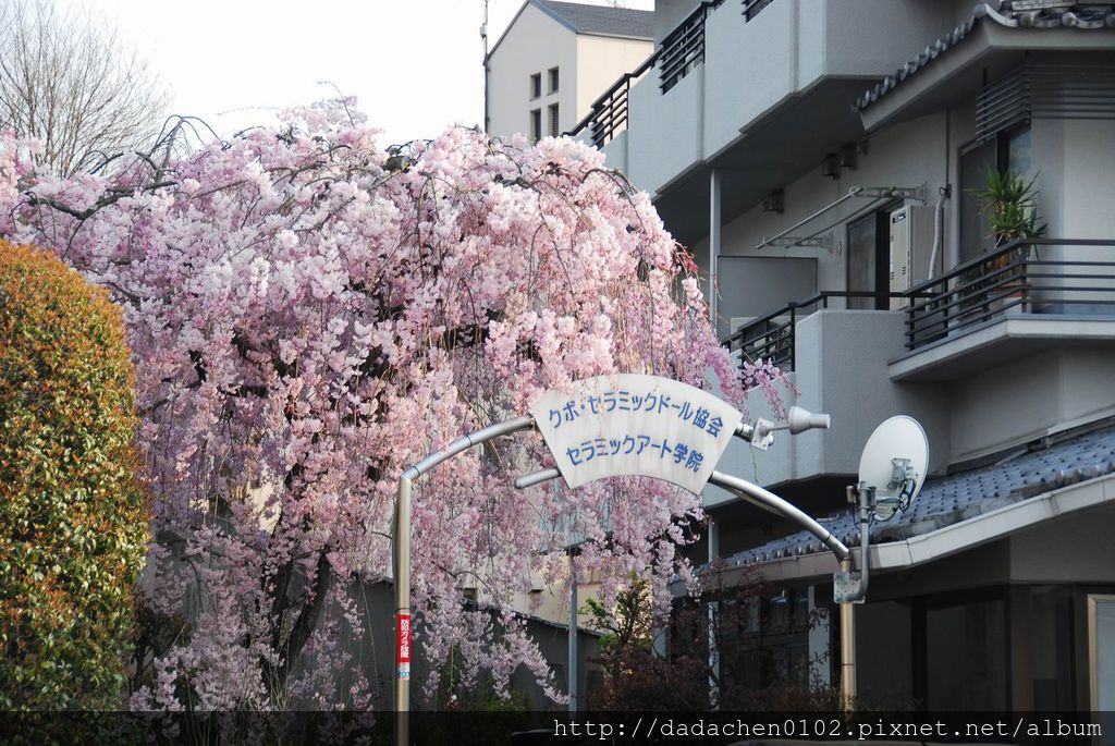 20140409 疏水道-023