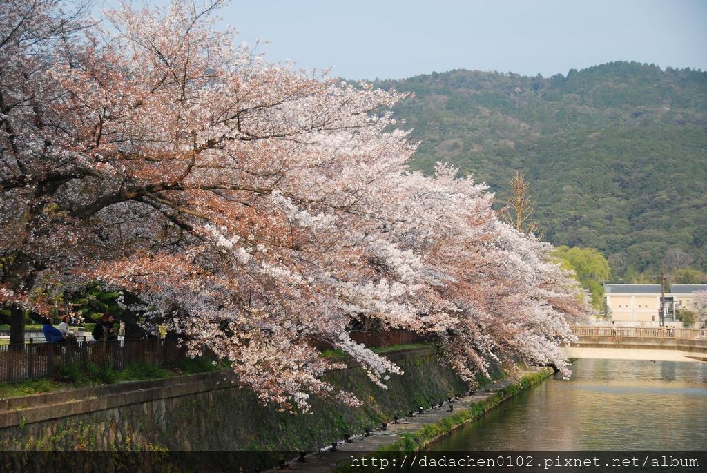 20140409 疏水道-046