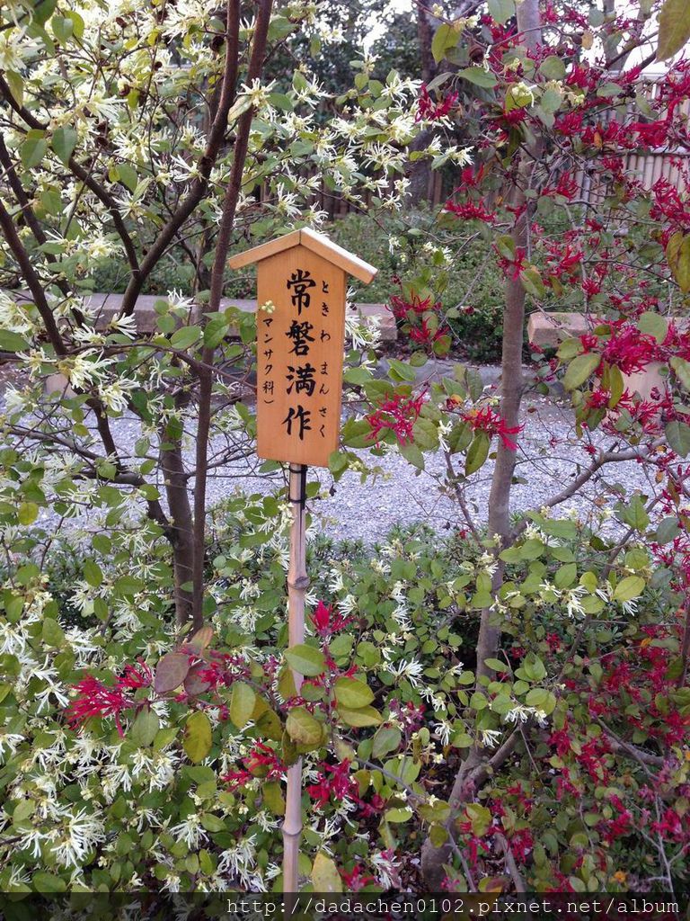 20140410 天龍寺-045.JPG