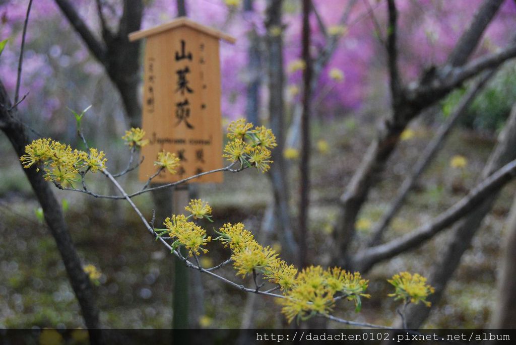 20140410 天龍寺-065.JPG