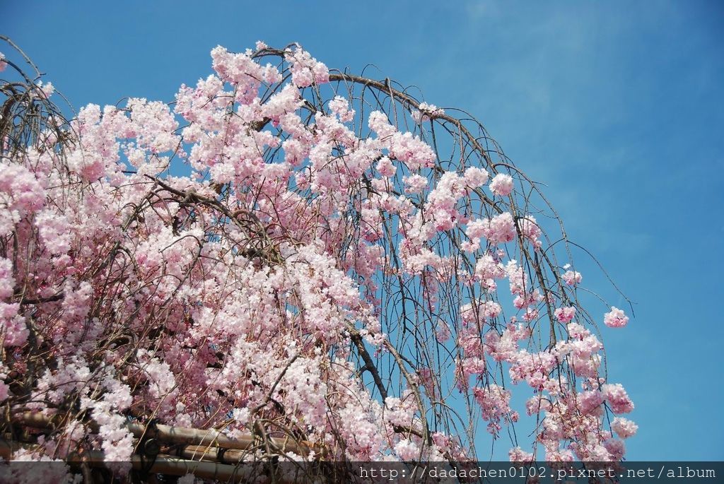 20140411 清水寺-024.JPG