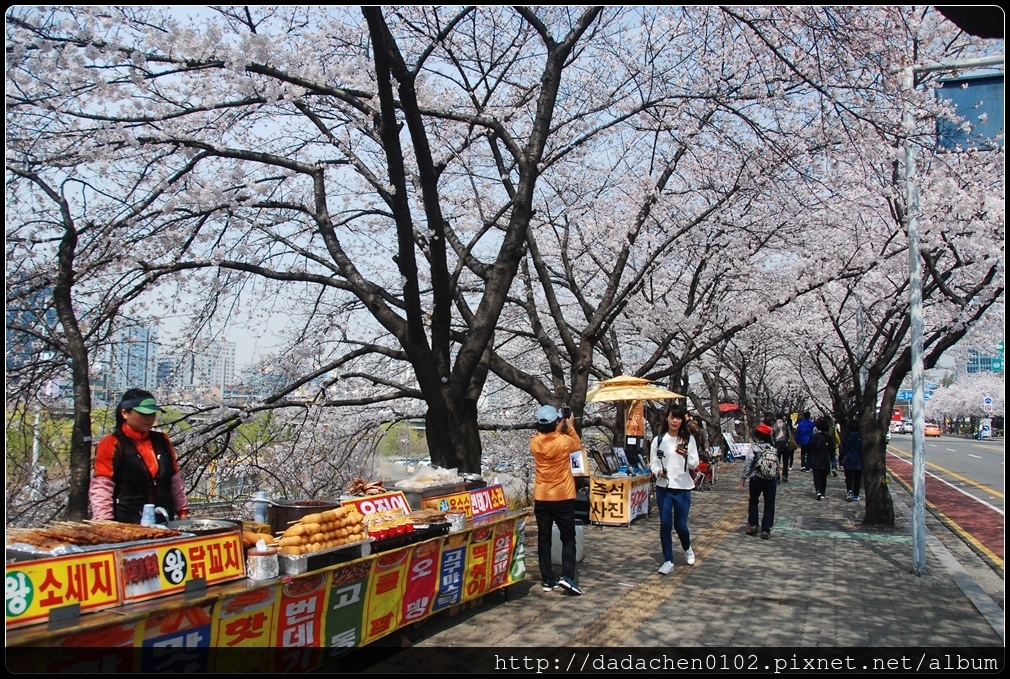 20160406 2汝矣島櫻花-020.JPG