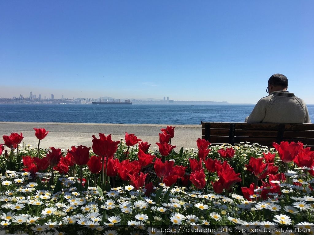 20180404 海邊午餐與鬱金香-014.JPG