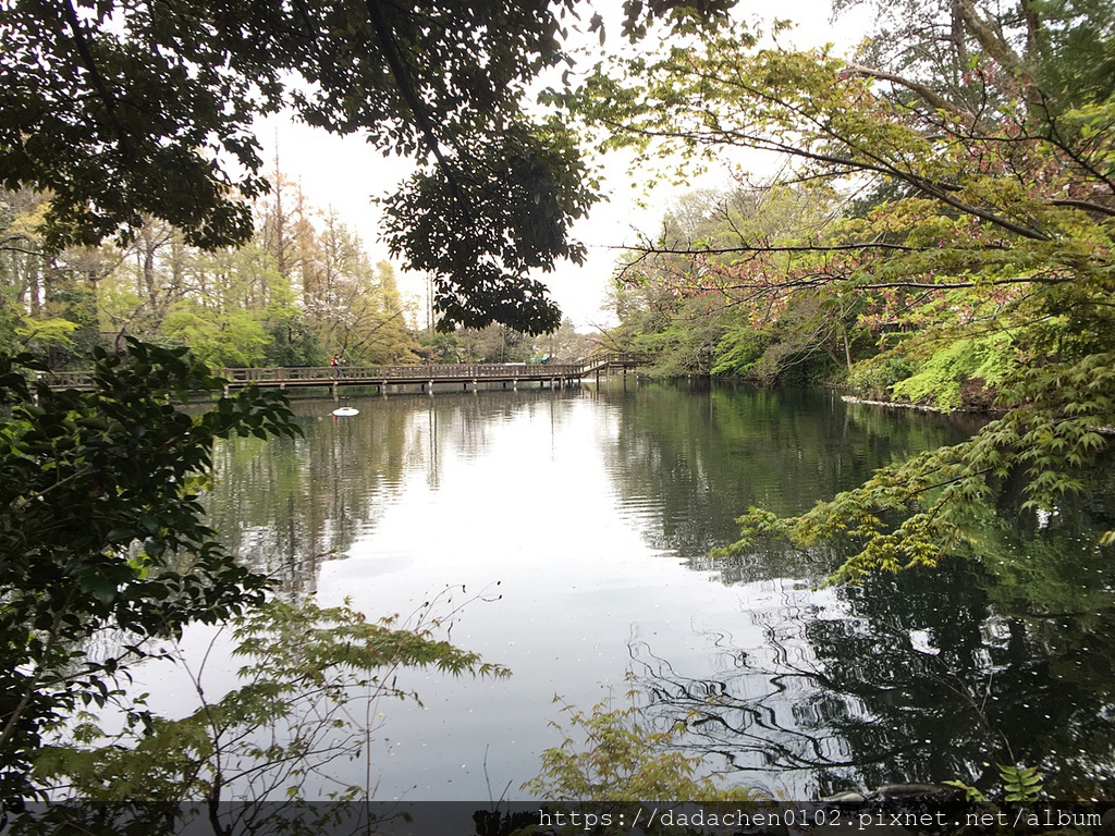 20190412-6 井之頭恩賜公園063.JPG