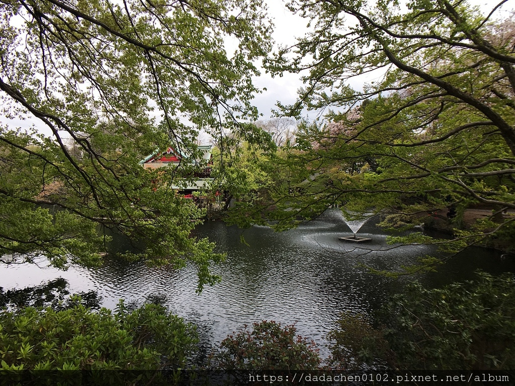 20190412-6 井之頭恩賜公園087.JPG