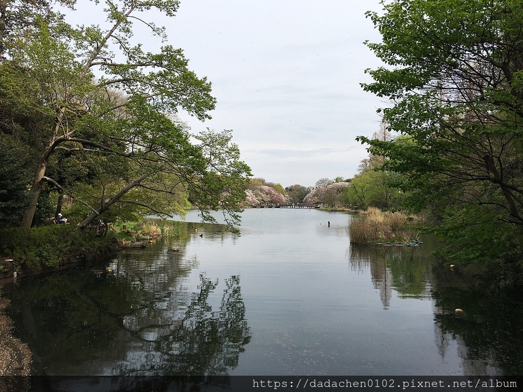 20190412-6 井之頭恩賜公園093.JPG