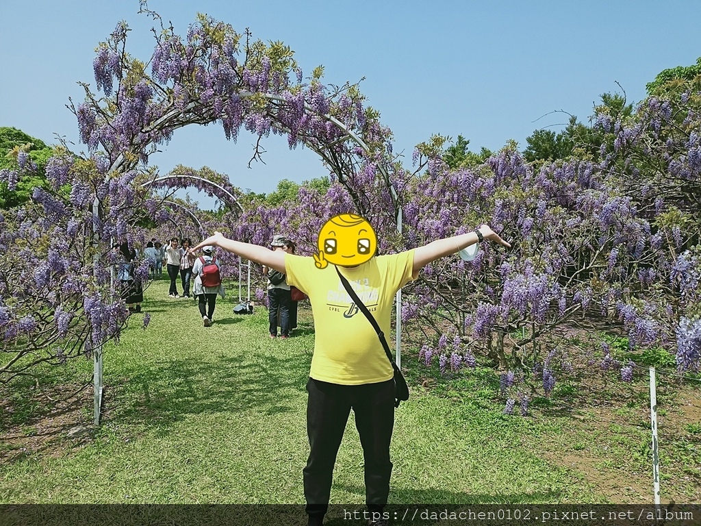 紫藤咖啡園_水源園區050.jpg