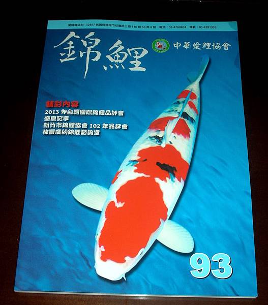 93期愛鯉雜誌