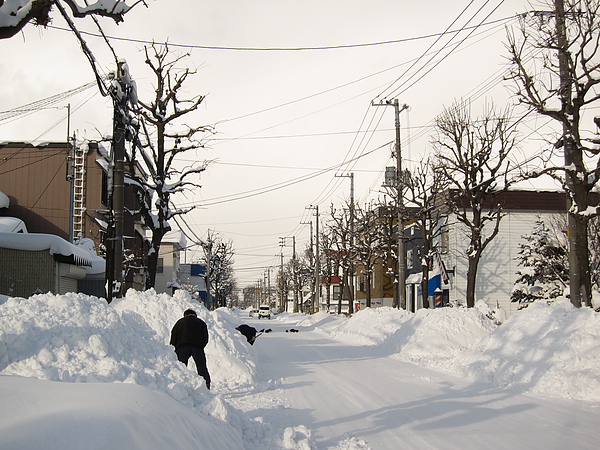 路邊辛勤剷雪的人們