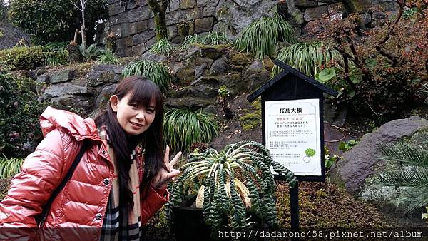 20160129_164747 20160129_164747