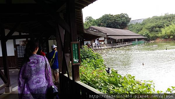 20170726_145931 20170726_145931
