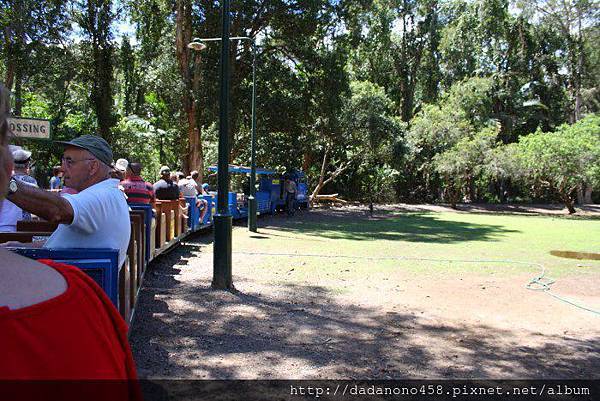 currumbin-train