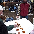 nEO_IMG_P1000543.jpg